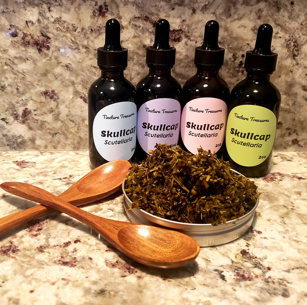 Skullcap Herbal Tincture – Calm & Nervous System Support