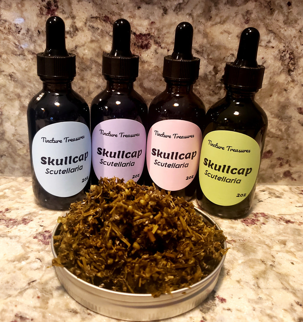 Skullcap Herbal Tincture – Calm & Nervous System Support