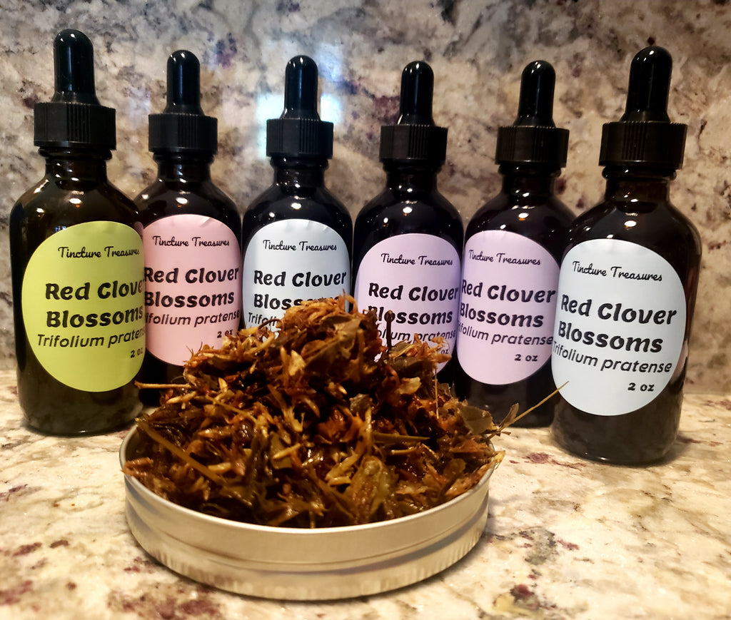 Red Clover Herbal Tincture – Menopause & Hormone Balance Support