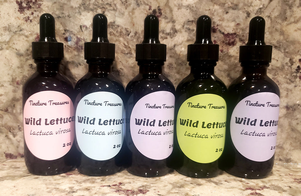 Wild Lettuce Herbal Tincture – Natural Pain Relief & Deep Relaxation